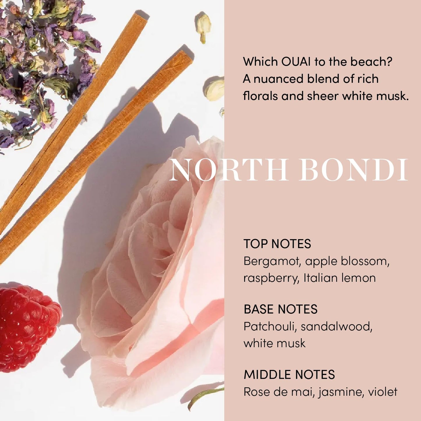 OUAI Curl Cream - Curl Defining Cream for Hydrated, Shiny Curls - Babassu and Coconut Oil, Linseed and Chia Seed Oil - Paraben, Phthalate, Sulfate and Silicone Free Curly Hair Products (8 Oz)