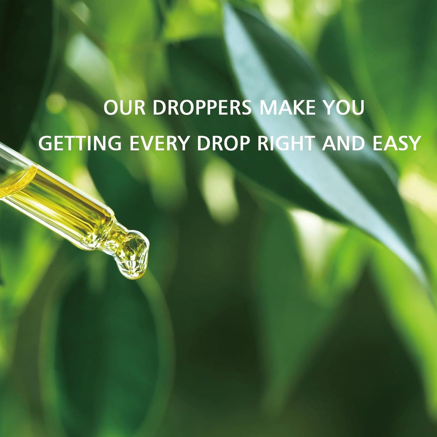 Cedarwood Essential Oil 1 Oz, 100% Pure Natural Cedarwood Oil, Aromatherapy Essential Oils for Diffuser, Skin, Hair, Candle, DIY Body Care