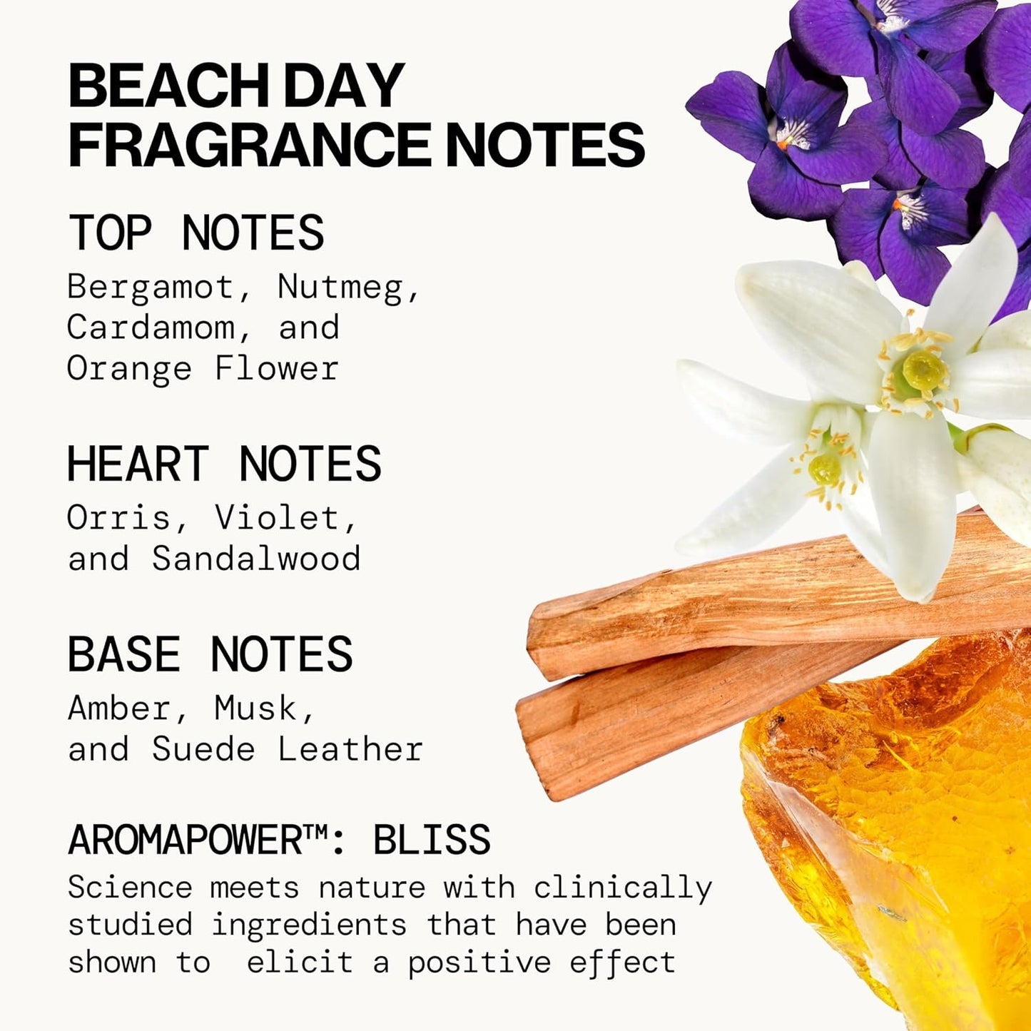 Pacifica Beauty, Take Me There Spray Perfume Trial Set, 5 Scents, Fragrance Sampler Gift Set, Natural & Essential Oils, Clean, Vegan & Cruelty Free