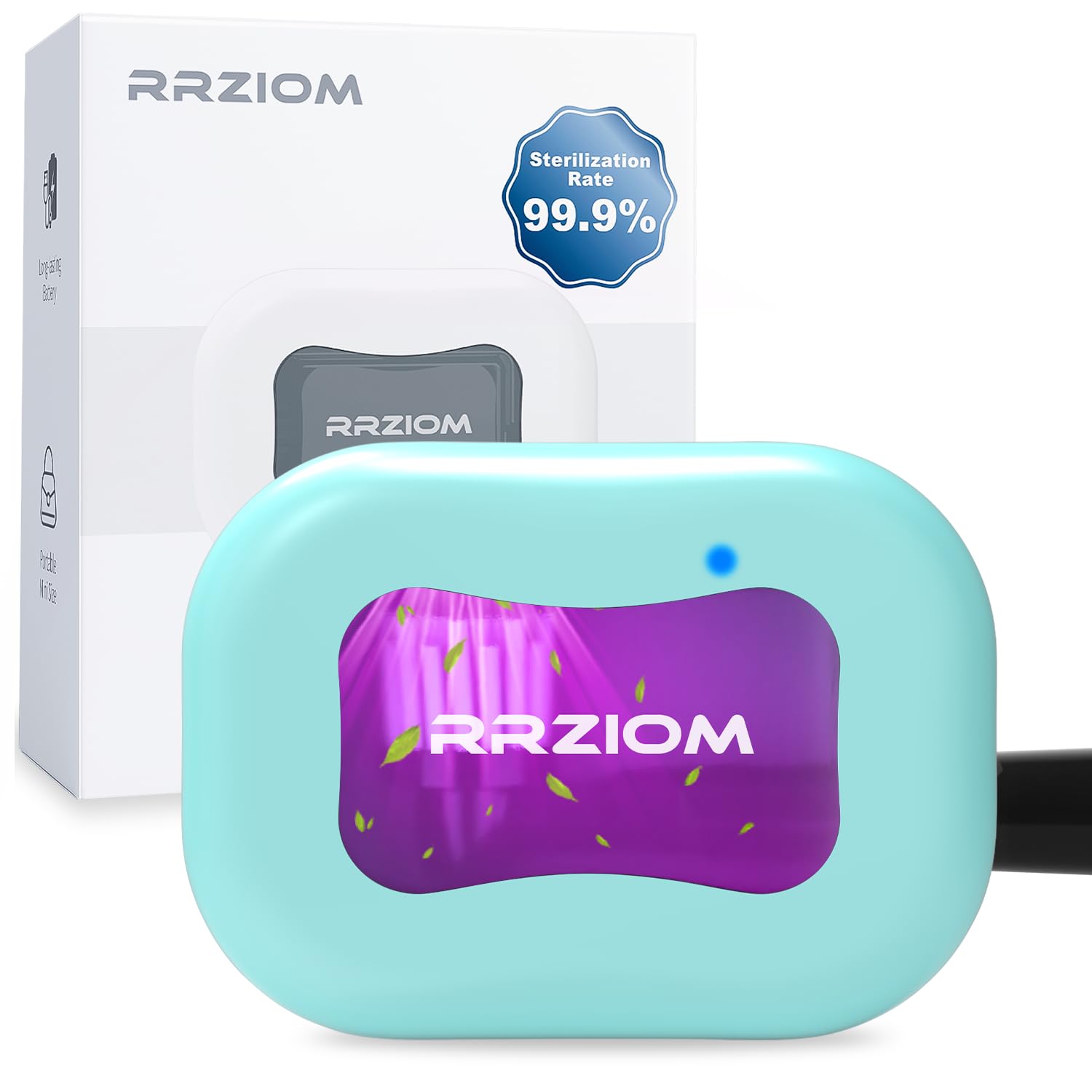 Toothbrushes & Accessories