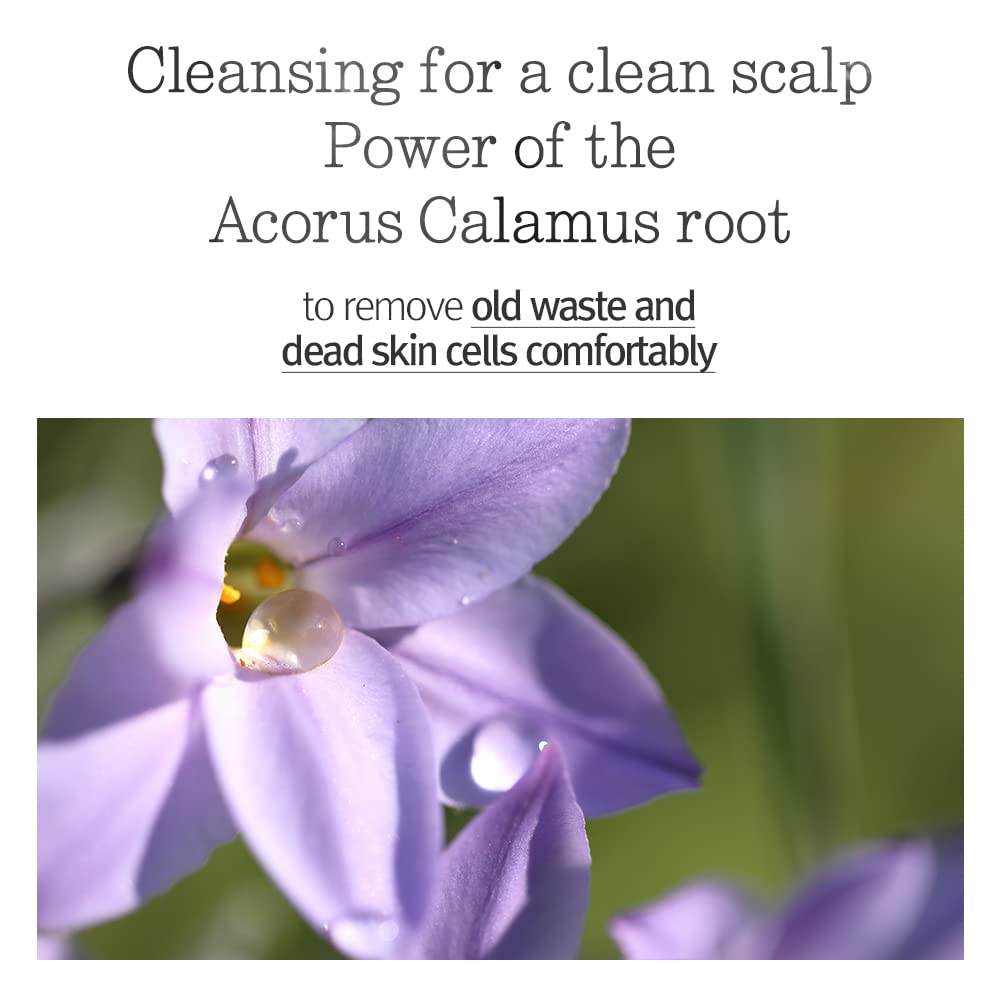 PYUNKANG YUL Hair&Body Travel Kit | Shampoo, Conditioner, Body Wash, Lotion, Spa Kit, 4 items | Low pH, Moisturizing, Soothing, Refreshing, Fragrance Free | Korean Skin Care | 3.38 Fl.Oz. x 4ea