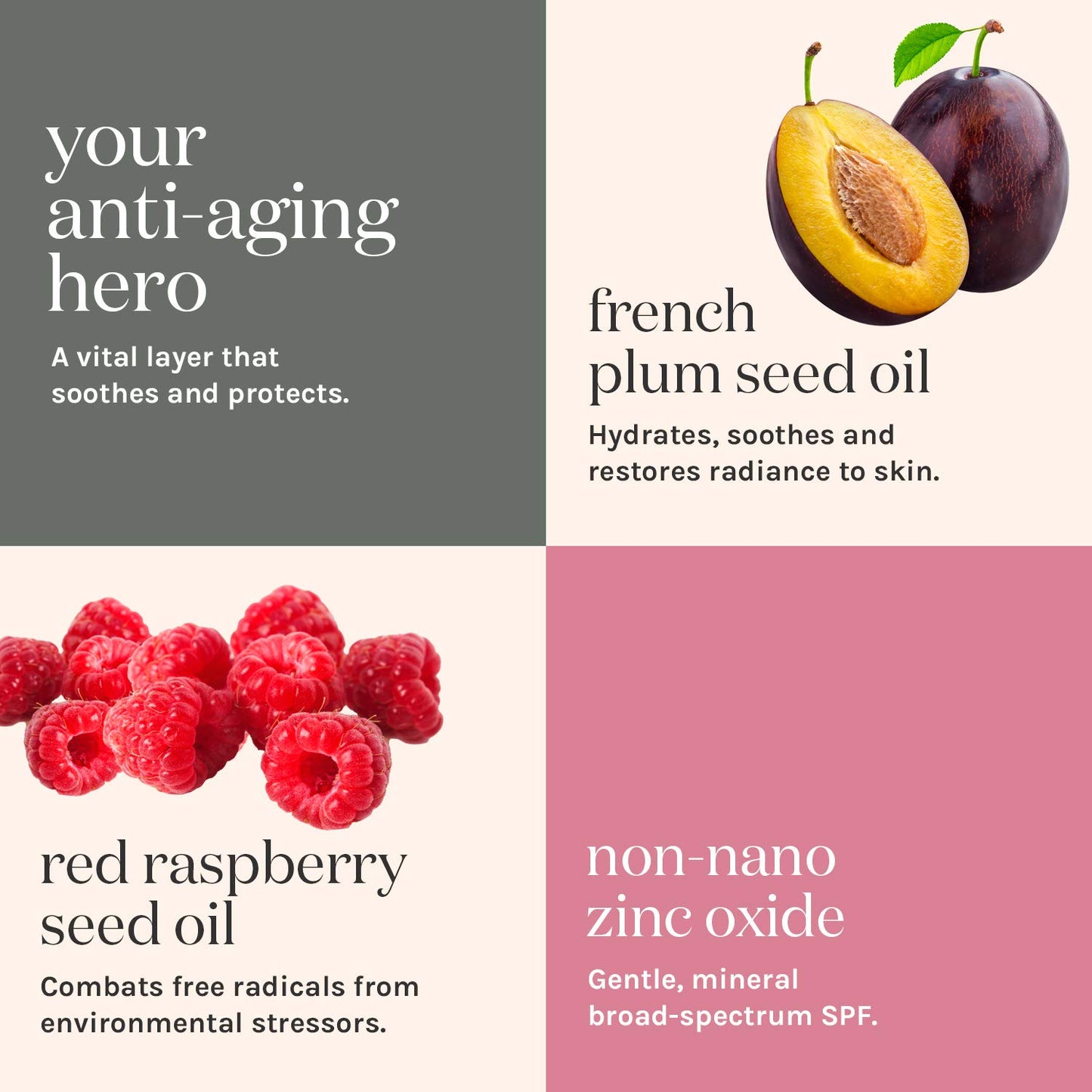 Kari Gran - Natural Essential SPF 30 Moisturizing Facial Sunscreen with Plant-Based Ingredients (1oz / 30ml)