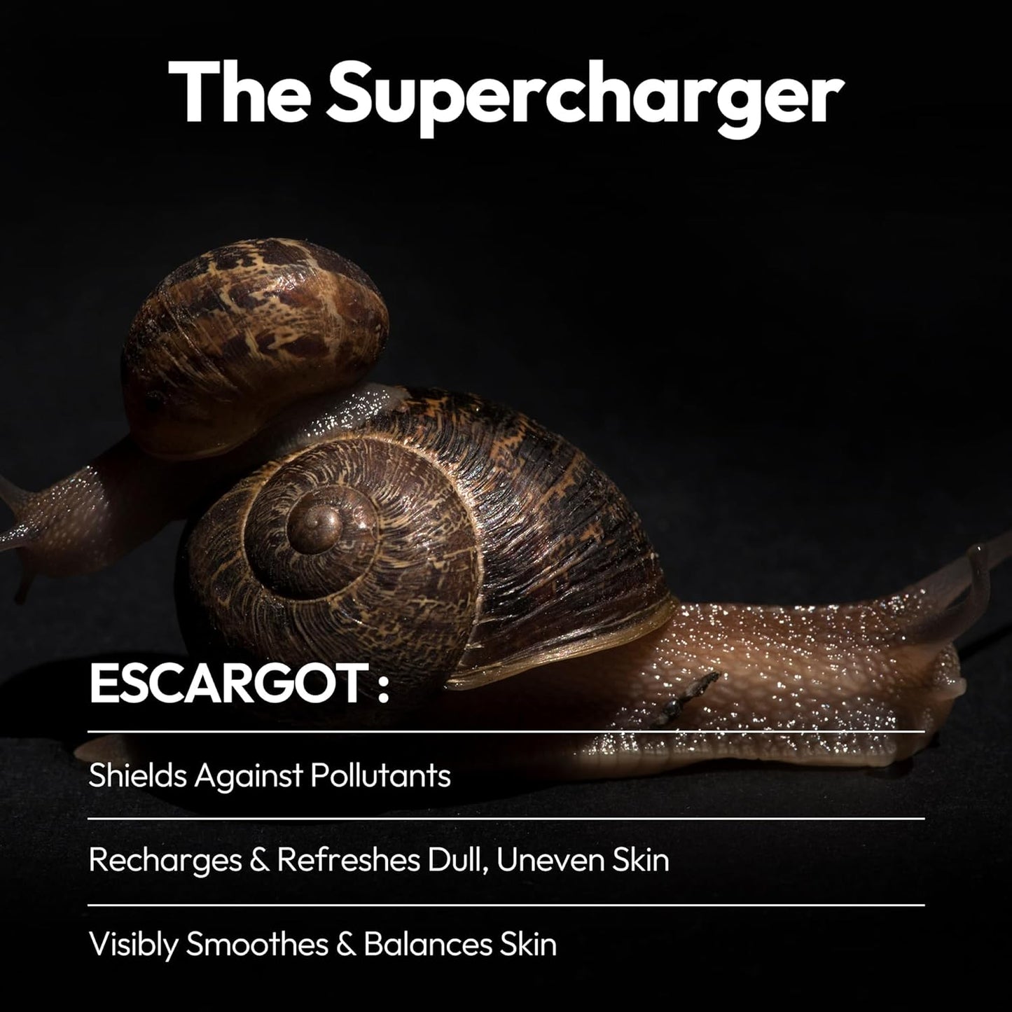 LAPCOS Escargot Sheet Mask, Daily Face Mask with Snail Filtrate to Moisturize and Soothe Skin, Korean Beauty Favorite, 5-Pack