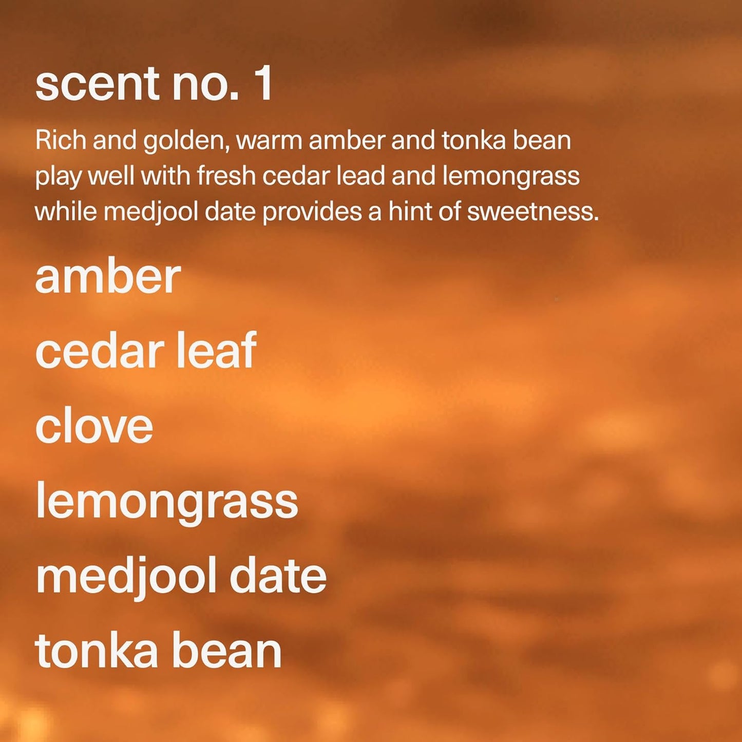 Maude Soak No. 1 - Nourishing Mineral Bath Salts - Hand-Harvested Dead Sea Salt with Magnesium & Potassium Chloride - Soften & Rejuvenate Skin - Notes of Amber, Cedar Leaf & Clove (8 oz)