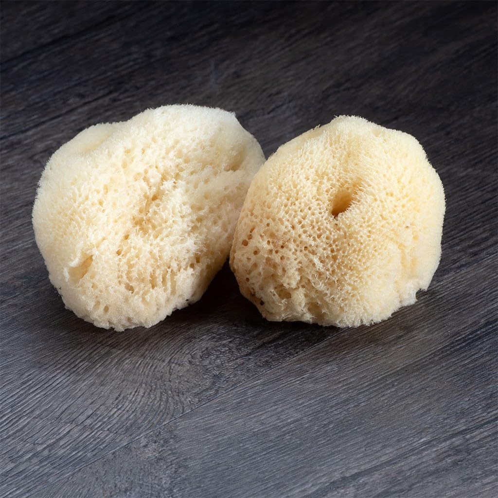Sea Silk Sponge 2pc Kit, Hand Cut, Medium, Approx. 2-3 inches, Ideal for Cosmetic Use and Facial Cleansing