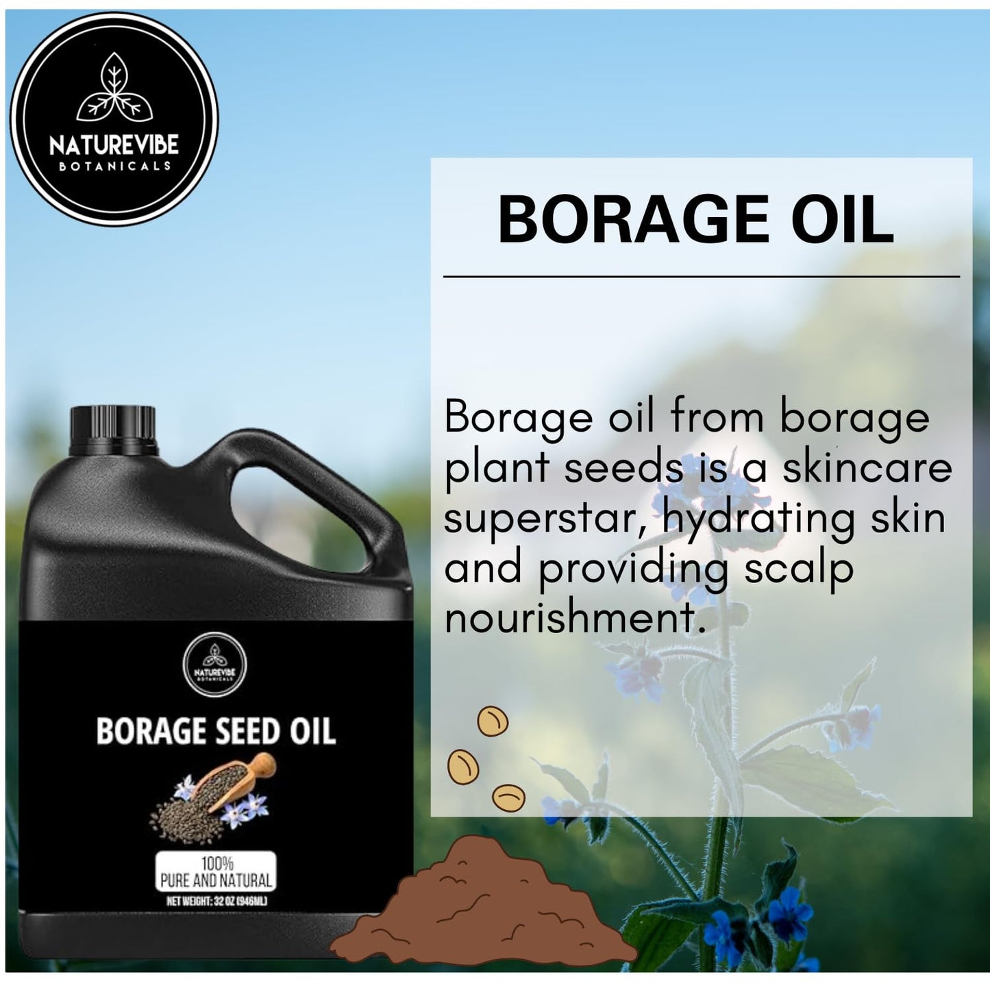 Naturevibe Botanicals Borage Oil 32 Ounces | 100% Pure and Natural | Great for Skin Care and Hair Care
