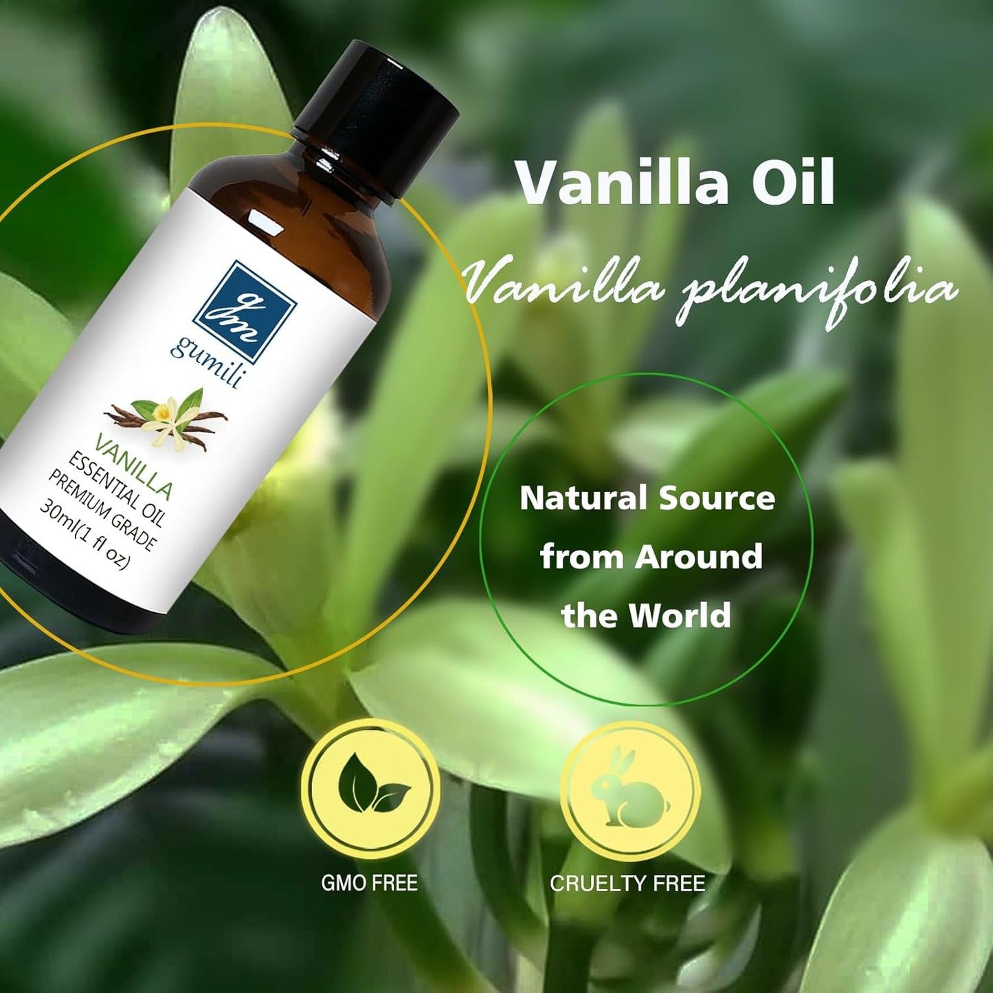 Vanilla Essential Oil – 1 Oz Vanilla Oil for Skin & Diffuser | Home Fragrance Oil for Body, Lotion, Candles, Soap, Dryer Balls, Slime & More