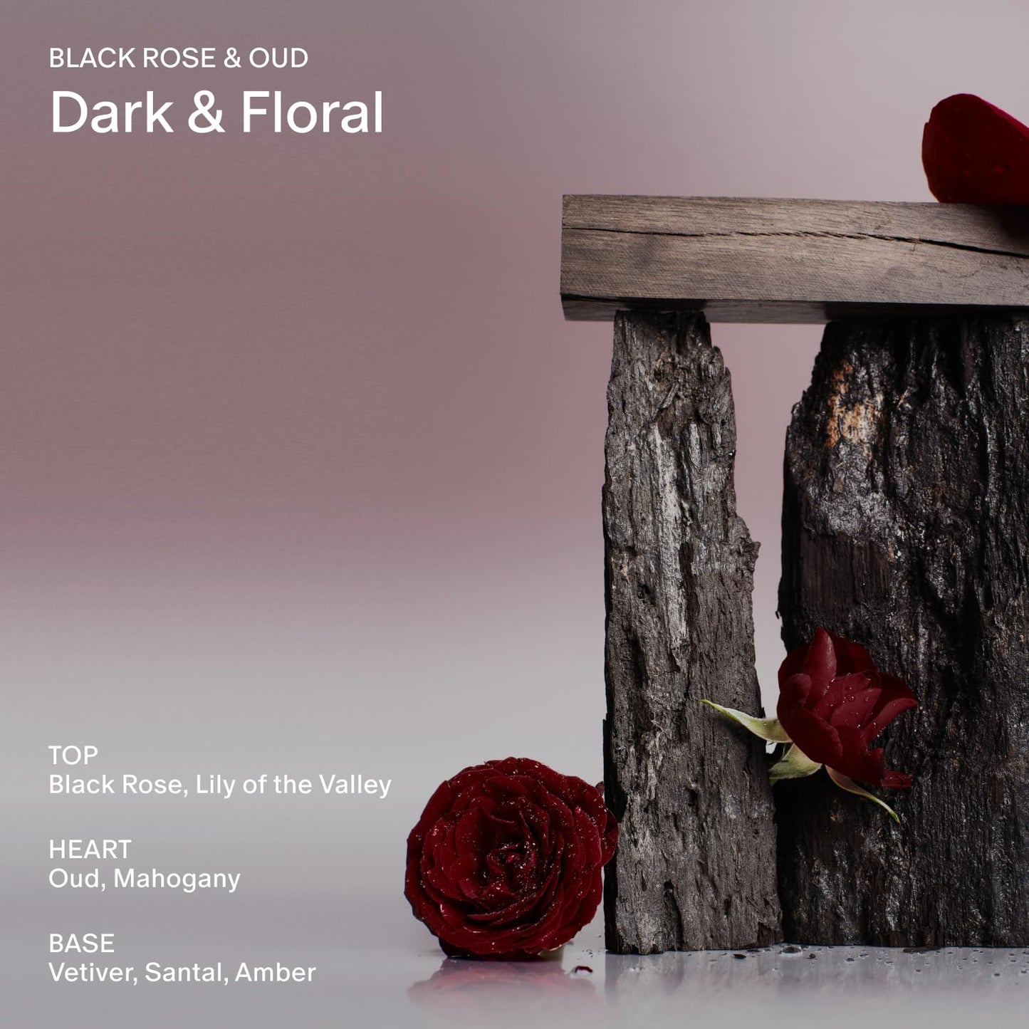 Salt & Stone Body Wash for Women & Men | Black Rose & Oud | Hydrating Gel Cleanser | Clean & Soften Skin | Made with Niacinamide & Hyaluronic Acid | Free From Parabens, Sulfates & Pthalates 15.2 fl oz