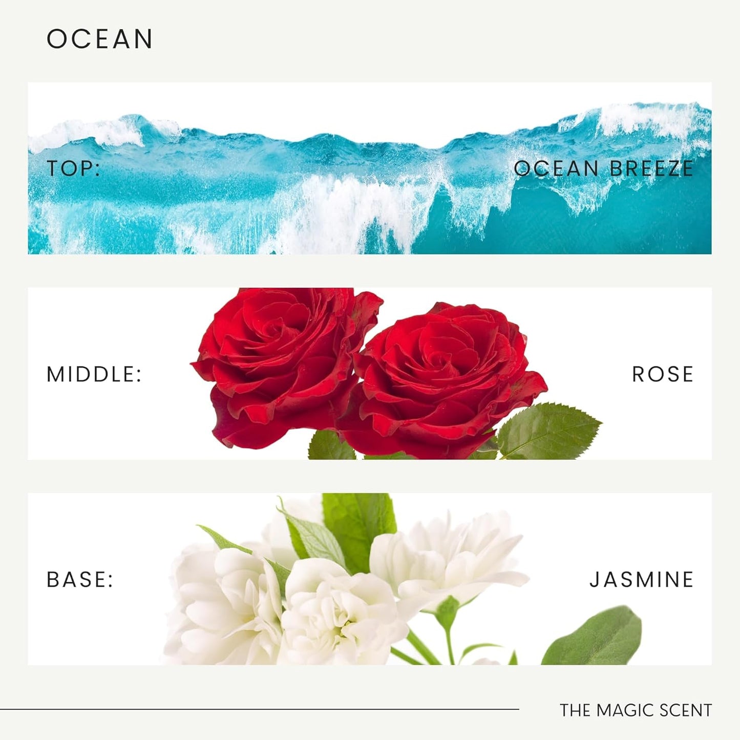 Ocean Diffuser Oil - Hotel & Home Luxury Scents Inspired by Bvlgari Resort, Bali - Oil Scents for Home Designed for Use in All Diffusers - 8.5 fl oz, 250 mL