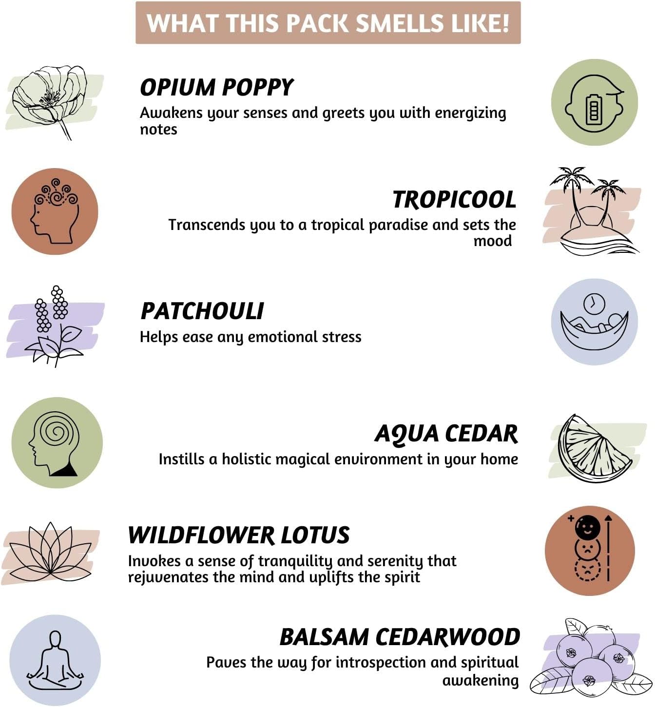 Folkulture Incense Cones Scented | Set of 6 Fragrances (120 Cones) with Incense Cones Holder | Opium Poppy Patchouli Incenses | Mango Pineapple, Balsam Cedarwood | Organic Variety Pack Inscents