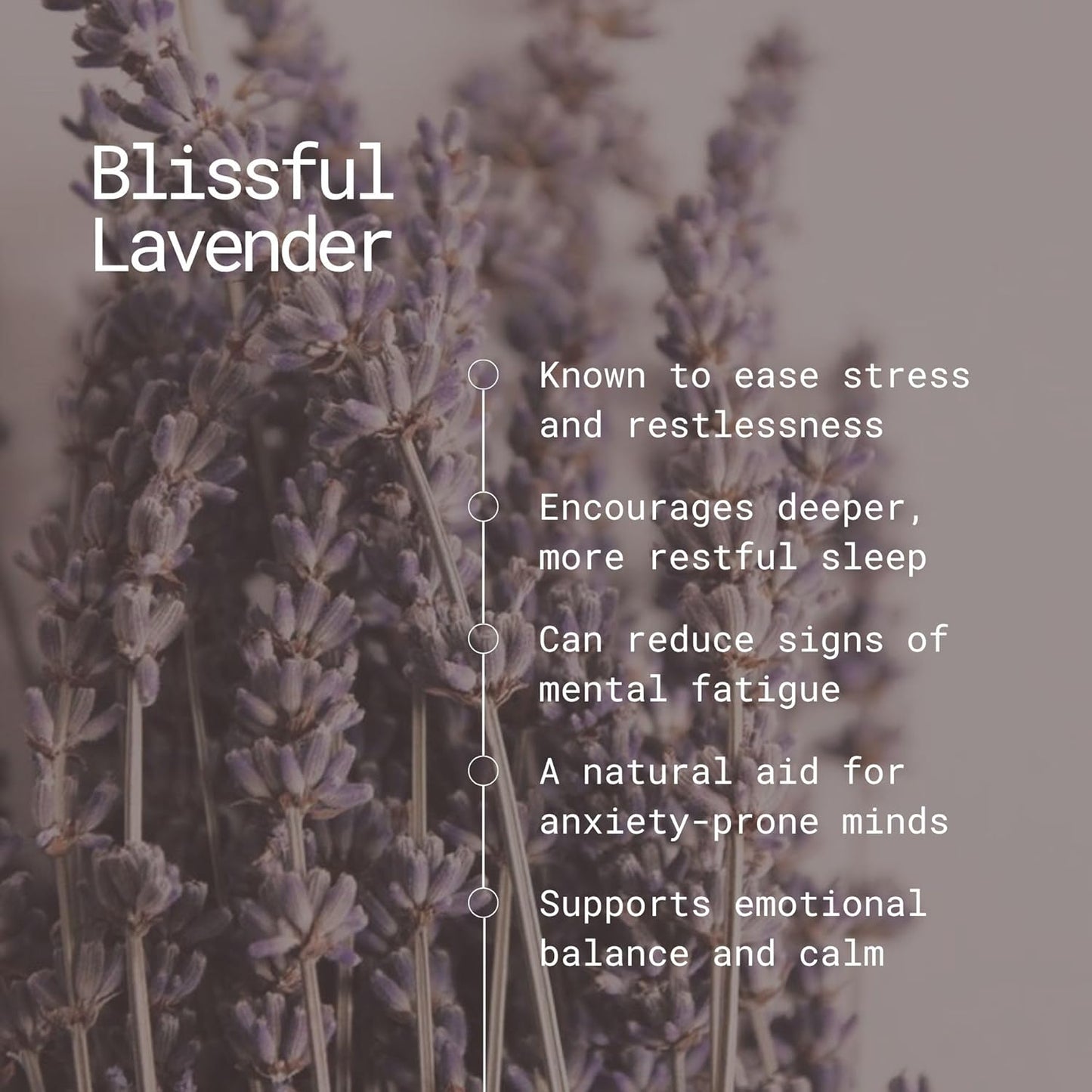 APPU'S Gandhadagudi Blissful Lavender Incense Sticks – 100g | Handmade, Toxin-Free, Long-Lasting Fragrance | Natural Resin Aroma for Meditation, Yoga & Home Use