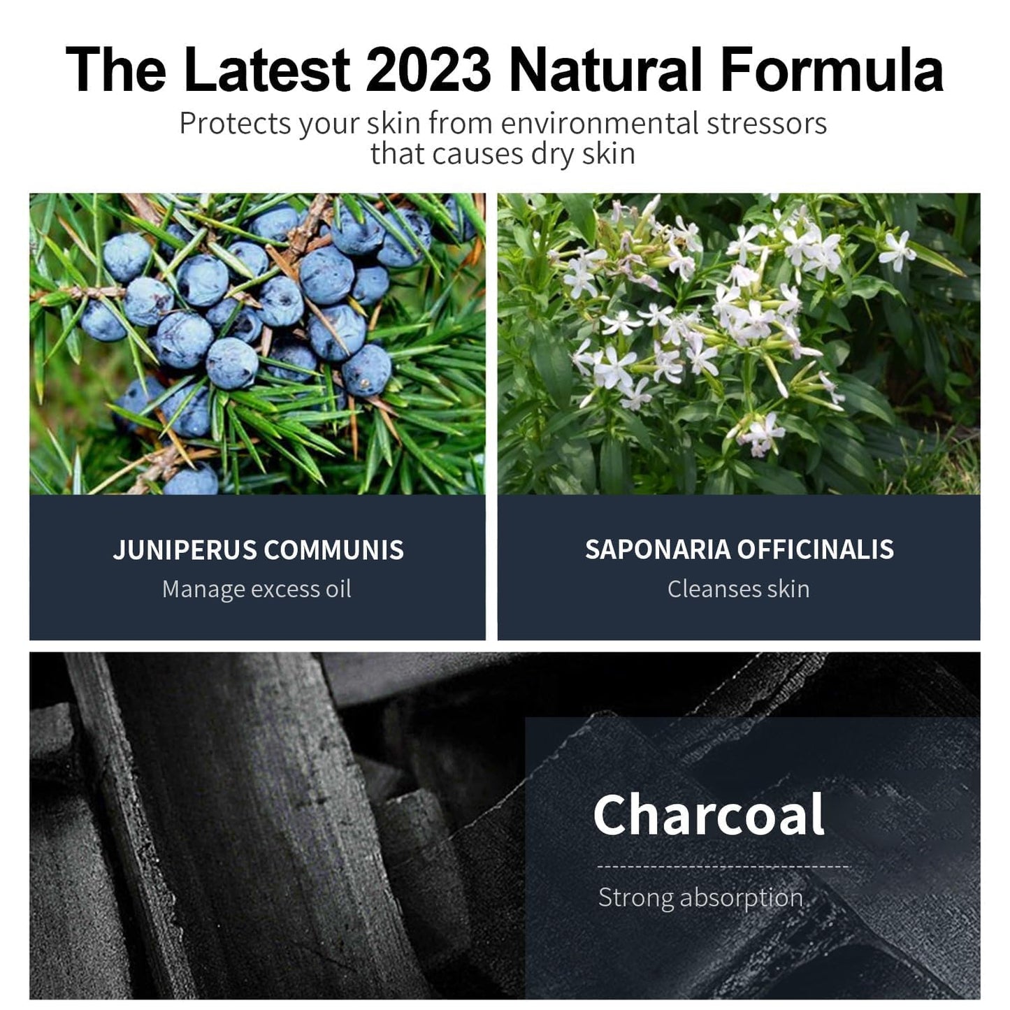 JVR Peel Off Face Mask, Blackhead Remover Mask for Men, Charcoal Peel Off Black Mask, Facial Mask Purifying and Deep Cleansing for All Skin Types 8.46 OZ