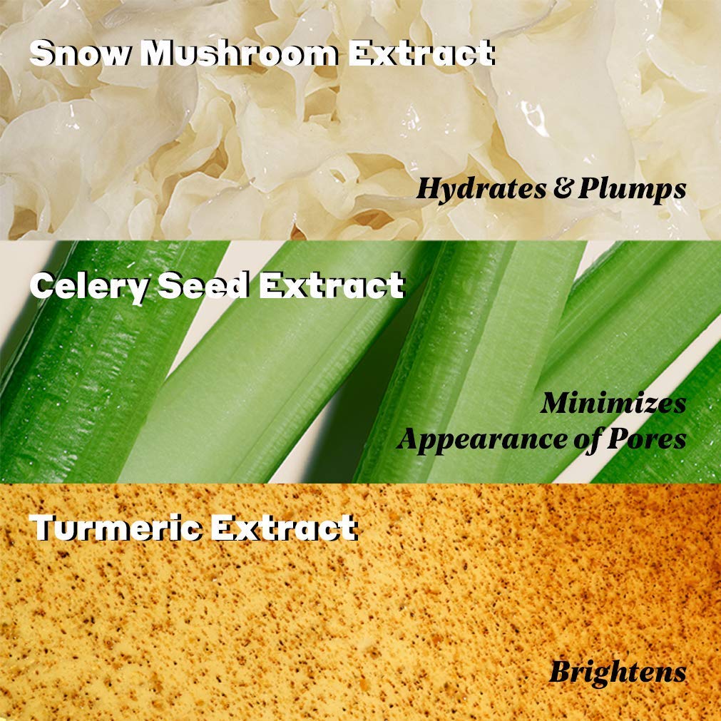 Volition Beauty Dewy Skin Kit Bundle with Celery Green Cream, Snow Mushroom Water Serum, Turmeric Brightening Polish | Age-Defies, Minimizes Pores & Brightens | Vegan, Paraben-Free & Cruelty-Free