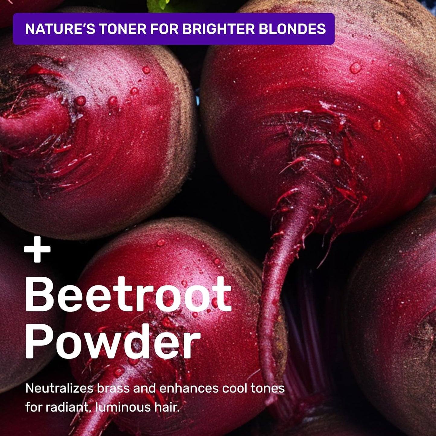 Ethique Purple Shampoo Bar for toning brassy hair - Plastic-Free, Cruelty-Free, Vegan, 3.88 oz - Formerly Tone It Down