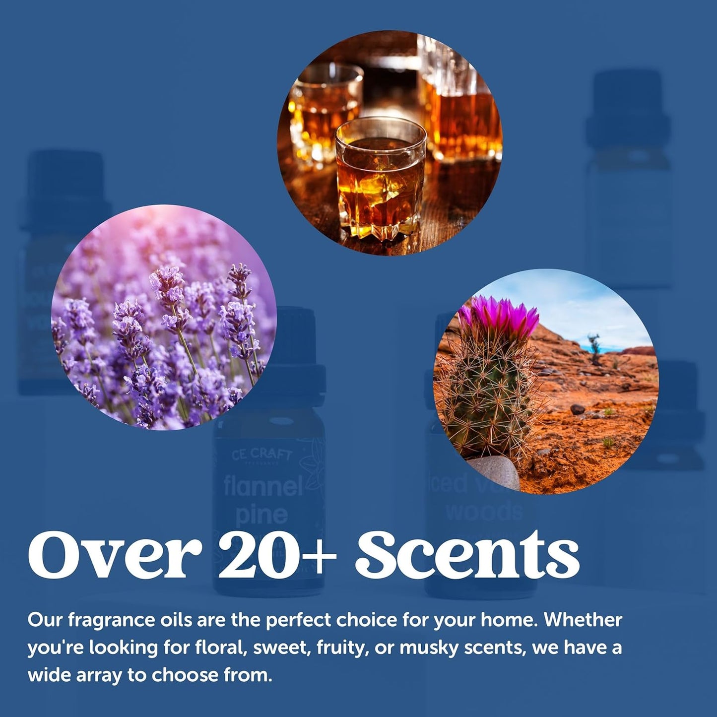 CANDECraftCo Premium Fragrance Oil – Diffuser Oils Fragrances Scented for Home, Candle Soap Making Supplies, Aromatherapy Blends for House (0.34 Fl Oz) (2-Pack, Sparkling Champagne)