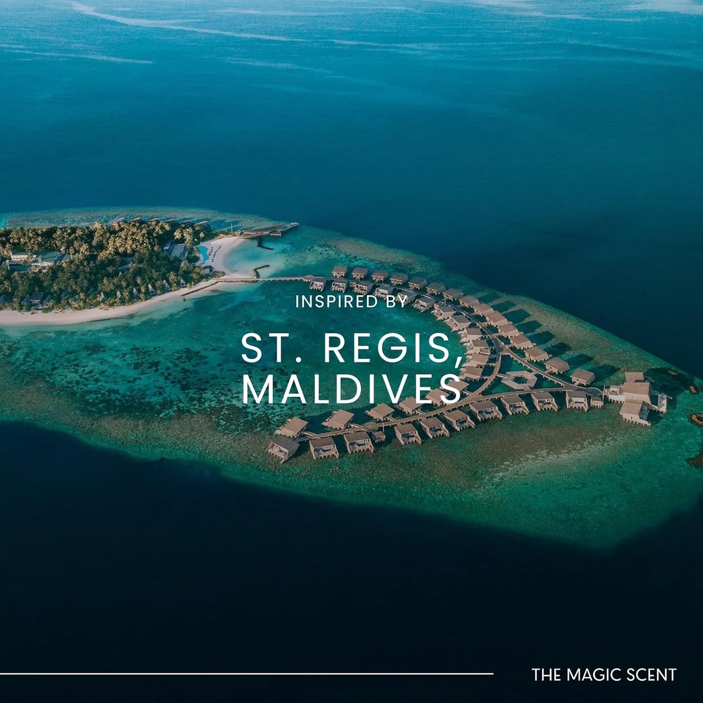 Mandarin Blossom Diffuser Oil - Hotel & Home Luxury Scents Inspired by St. Regis Hotel, Maldives - Diffuser Oil Scents for Home Designed for Use in All Diffusers - 8.5 fl oz, 250 mL