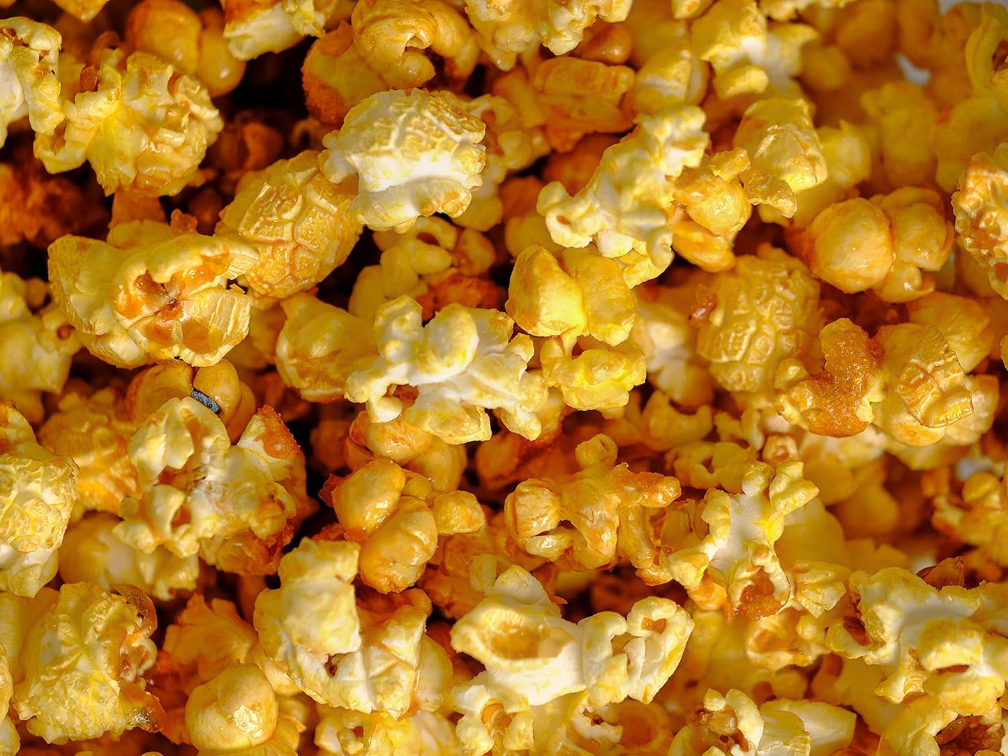 Amish Country Popcorn | 12 Pack Mixed Seasoning Bundle | Old Fashioned, Non-GMO and Gluten Free