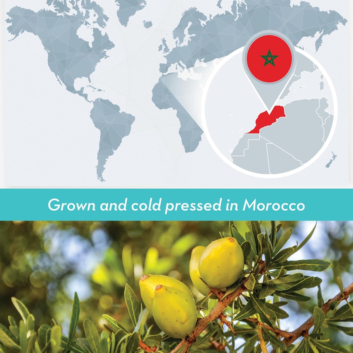 Bulk Argan Oil - 16 Fl Oz Large Size Bottle - Natural, Cold Pressed, 100 Percent Pure Argan Oil for Homemade Hair, Face and Skin Products - Light Aceite de Argan Carrier Oil