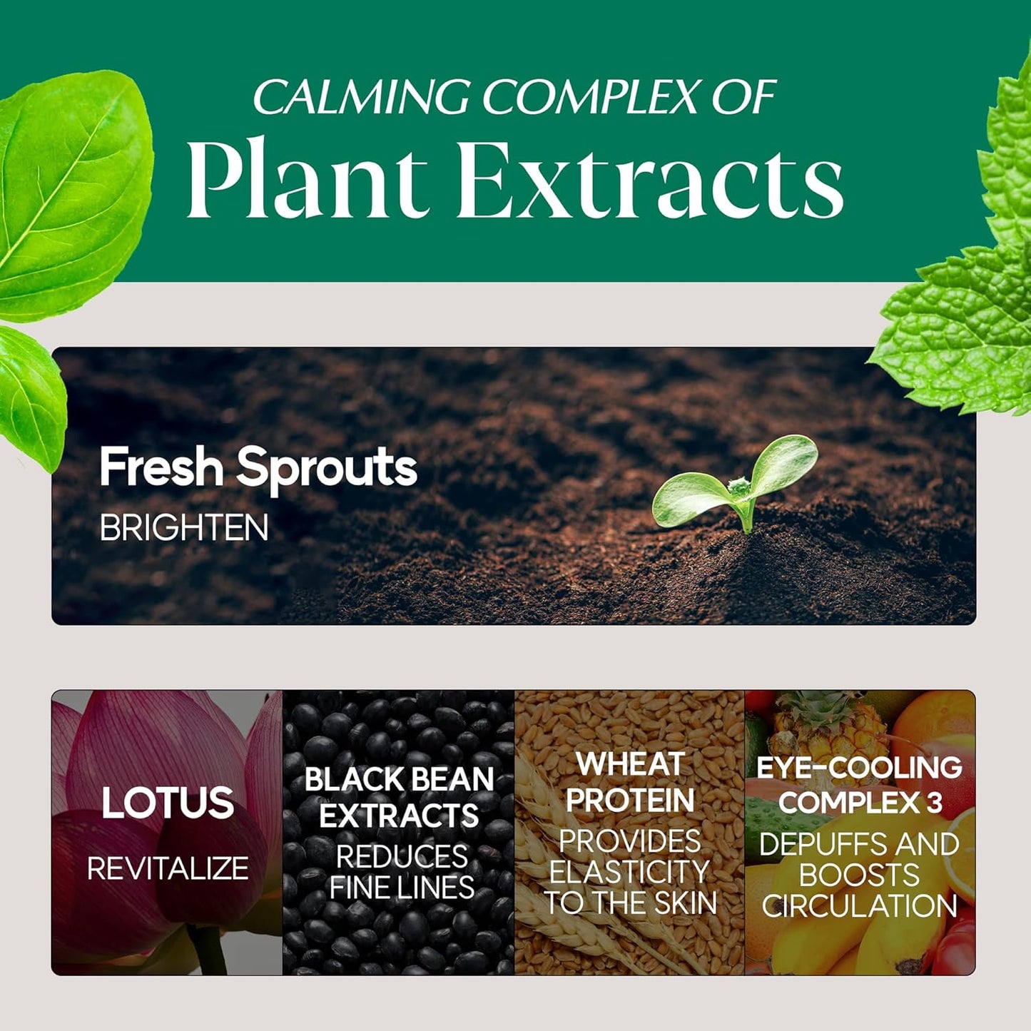 Blessing of Sprout Wrinkle-away Eye Cream (Pack of 1, 1.69 Fl Oz)