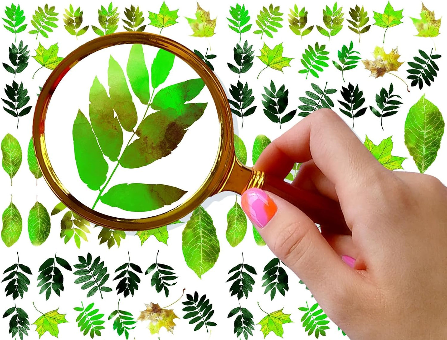 Nail Stickers Decal Transfers (5 Sheets) FLONZNAIL Summer Green Leaves Vintage Watercolor Illustration