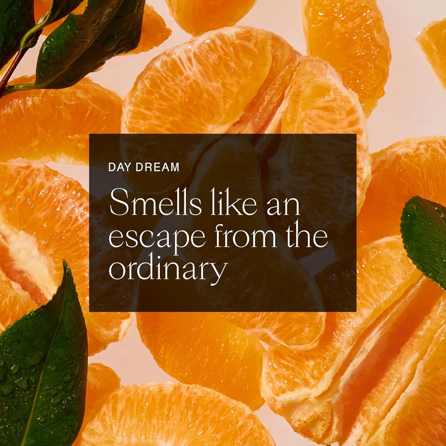 Each & Every Aluminum Free Deodorant for Women & Men - All Natural Deodorant for Sensitive Skin, EWG Verified - Clean, Baking Soda-Free, Plant-Based Fragrance, Citrus & Vetiver, 2.5oz