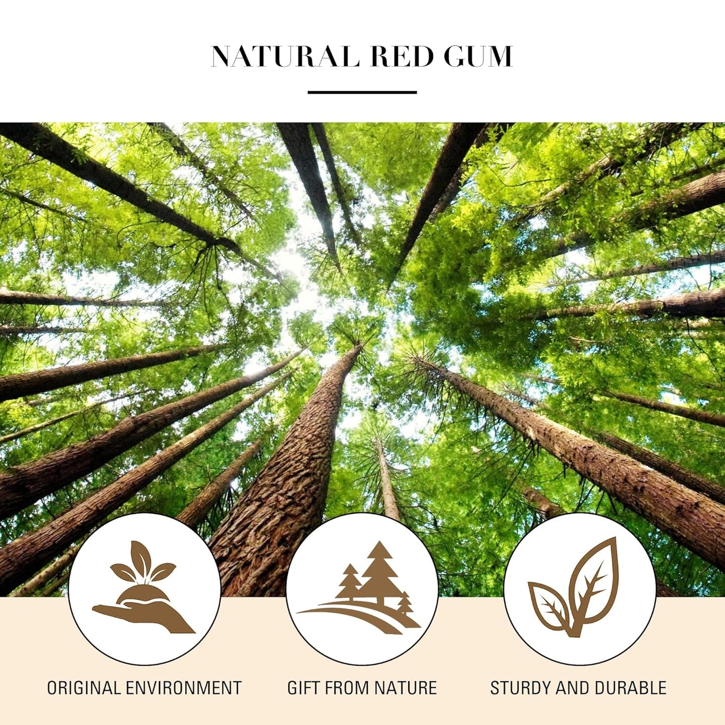 Bamboo Hair Brush for Hair Growth, Natural Bamboo Bristles Detangling Wooden Hair Brush for Scalp Massage, for Women, Men & Kids, All Hair Types, with Ergonomic Handle