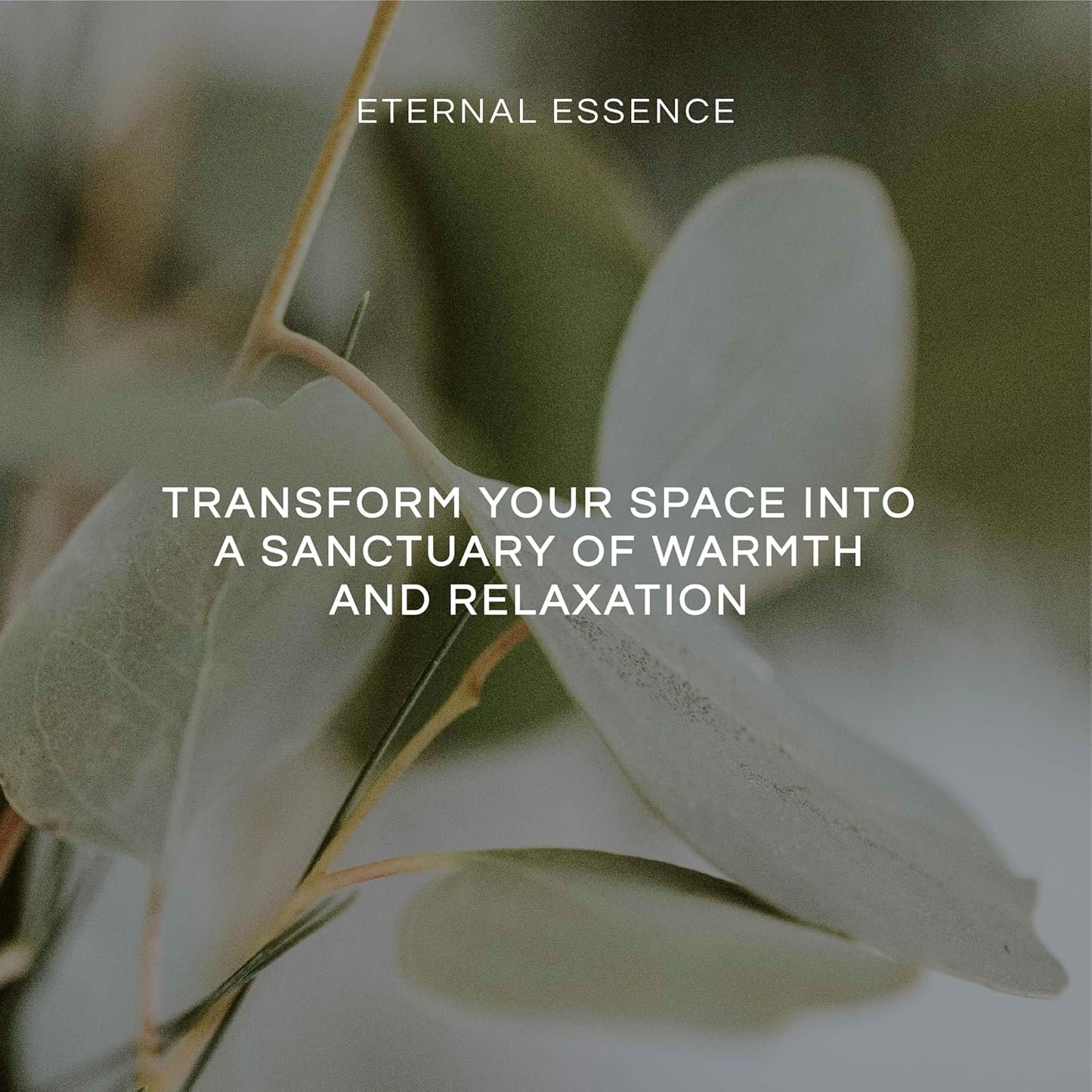 Eternal Essence Oils Grandma's Kitchen Set of 6 Premium Fragrance Oils - Caramel Nut Muffin, Oatmeal Cookie Dough, Snickerdoodle, Orange Chiffon Cake, Lemon Sugar, and Blueberry Pancakes - 10ML