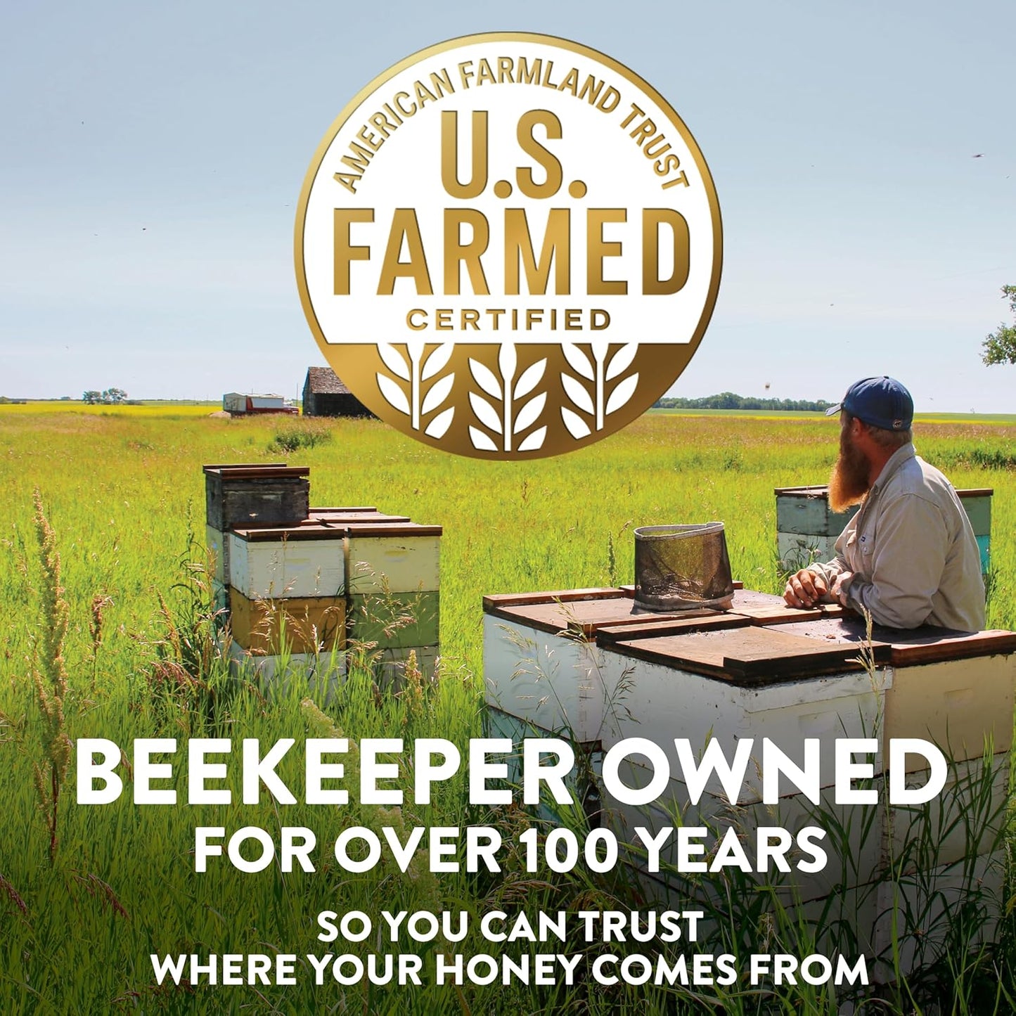 Sue Bee Naturally Flavored Lemon Honey For Tea and Water, Salads, Made in USA, 16 oz